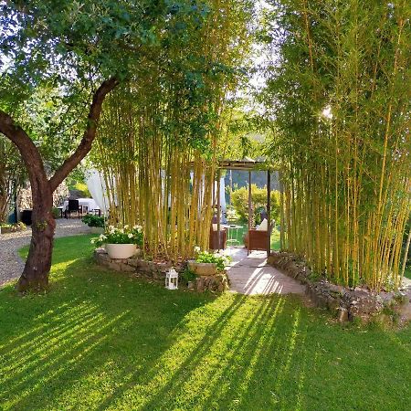 ססטרי לבאנטה Agriturismo Casa Olivieri מראה חיצוני תמונה
